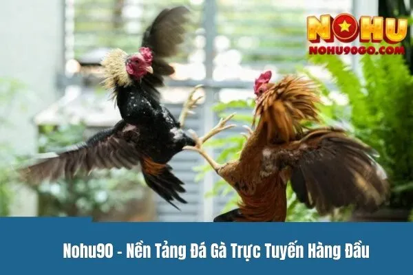 Đá Gà Mạng - Lịch Sử Phát Triển Và Tầm Quan Trọng Của Môn Thể Thao Này